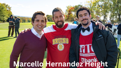 Marcello Hernandez Height: Real Facts, Career Journey, and Public Curiosity Explained 6 Marcello Hernandez Height