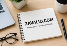 Zavalio Com