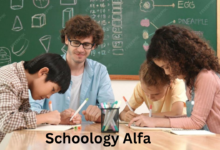Schoology Alfa