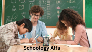 Schoology Alfa